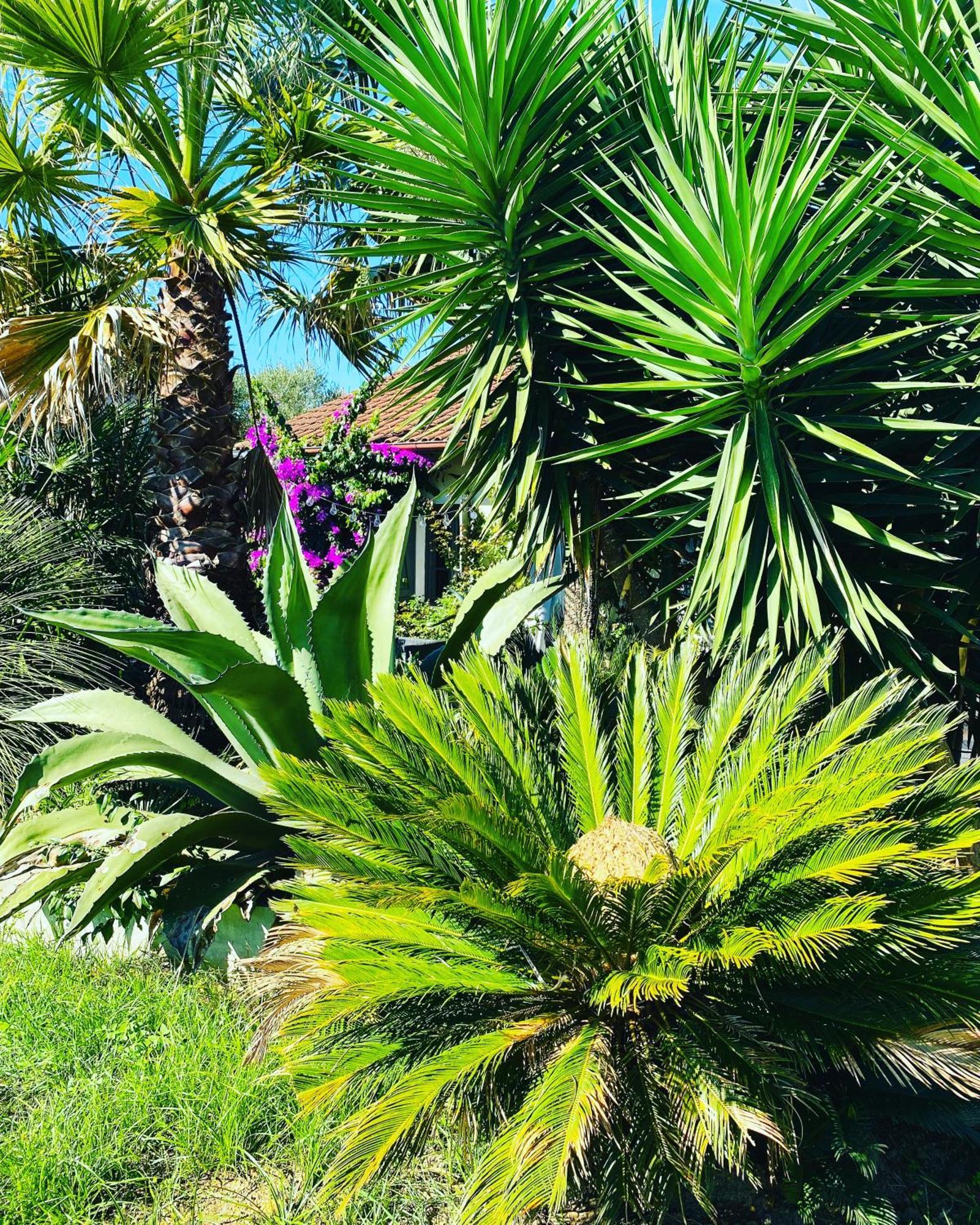 La Bastide De Guiche Entre Ocean Et Montagnes Apartment Екстериор снимка